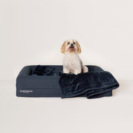 Hugo is a Maltese x Poodle and sits in our Medium size pet bed<br>Haley is an Aussie Shepherd and sits in our Large Reggie Bed